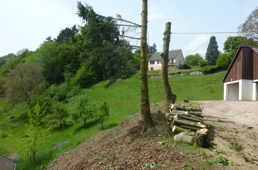 Broyage forestier à Labaroche : une gestion durable des espaces boisés