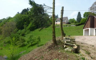 Broyage forestier à Labaroche : une gestion durable des espaces boisés