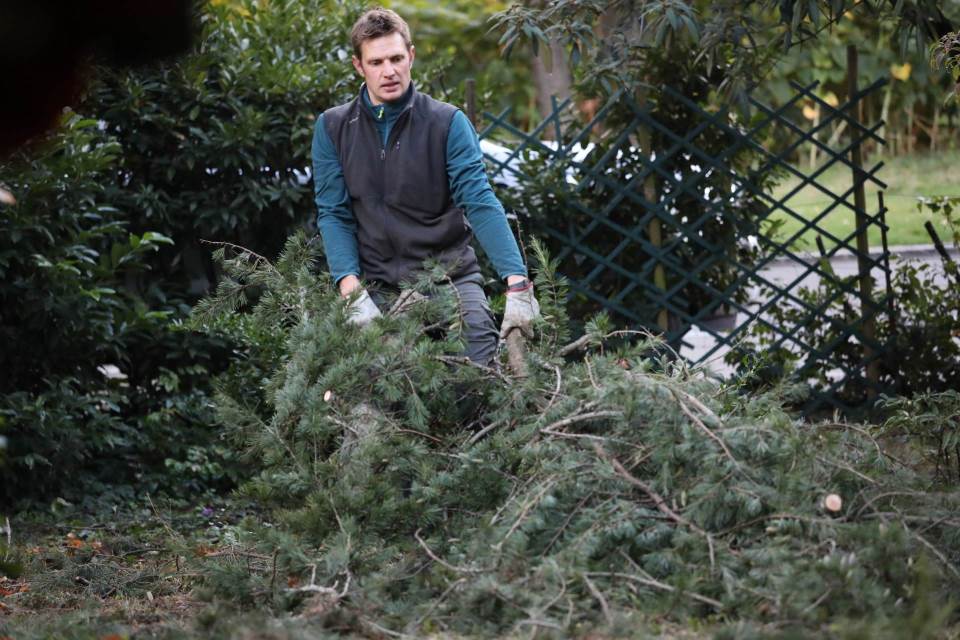 Débroussaillage forestier à Colmar